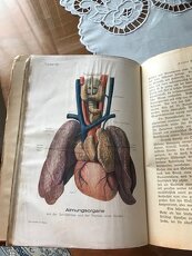 predám knihu Dr.MedJenny Springer roku 1930 - 6