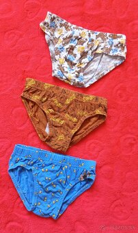 Ponožky a slipy - 6