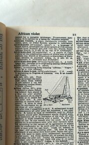 Vintage American college dictionary 1966 - 6
