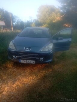 Peugeot 307 - 6