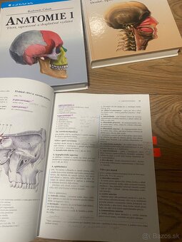 Anatómia Čihák 1,2,3 - 6