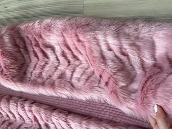 Vesta stradivarius - 6