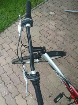 Damsky bicykel dema - 6