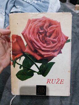 Knihy o ružiach, izbové rastliny - 6