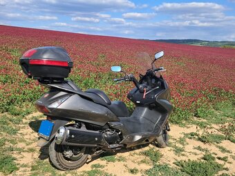honda FJS 400D - 6