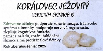 SUŠENÉ HUBY/HRÍBY - hliva, korálovec, dubáky, osičník - 6