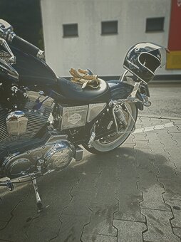 Harley Davidson Sportster 1200 - 6