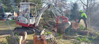 Odvoz odpadu / vypratávanie / Búranie - 6