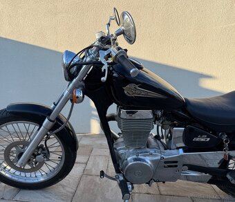 Suzuki LS650 - 6
