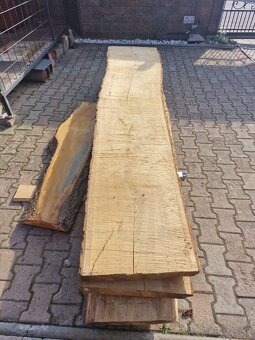 Fosne dub buk čerešňa - 6