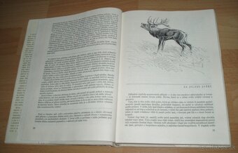 Loveckou stezkou - 6