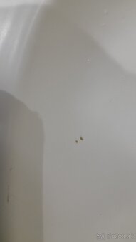 Kúpeľňová zostava - 6