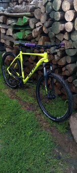 CTM RAMBLER 2.0 - 6