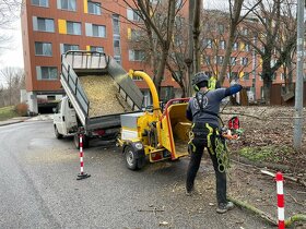 Výrub stromov, pílenie stromov, orez stromov, arboristika - 6