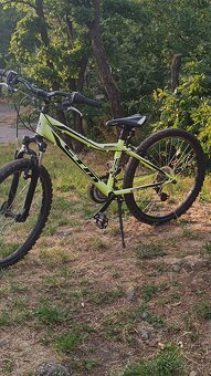 MTB 24 CTM Berry 2.0 - 6