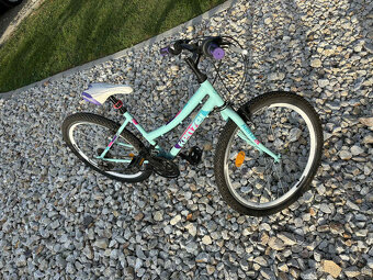 Bicykel KENZEL Yum RF24 "24" - 6