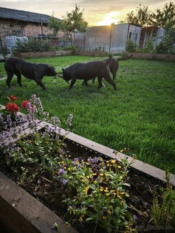 Dynasty Warriors - 6