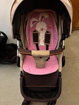 Kocik Coletto Giovanni - 6