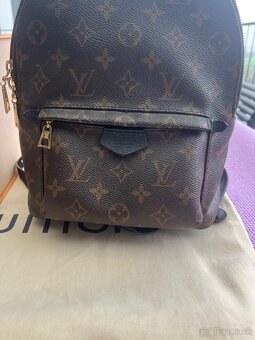 Louis Vuitton Palm Springs PM Backpack - 6
