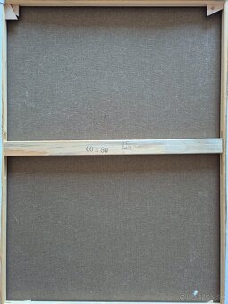 Dive maky olej/akryl? na platne signovany Selecka - 6