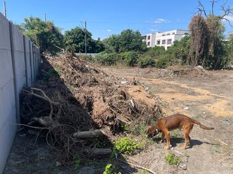 Pozemok 330m2 v Ružinove - 6