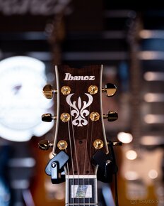 Ibanez AM153QA - 6