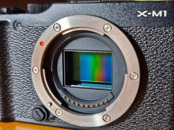 Fujifilm X-M1 + Fujinon XC 16-50mm f/3.5-5.6 OIS II - 6