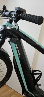 Bianchi omnia x type 2022 - 6