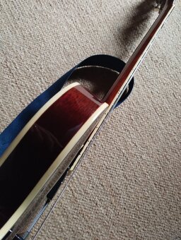 Tanglewood TSB-59 - 6