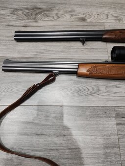 Gulobroková kozlica - 6