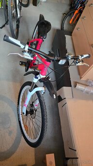 Kenzel Apolis Shade Damsky 27" - 6