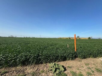 Investičný pozemok 28 249 m² neďaleko Trnavy na predaj - 6