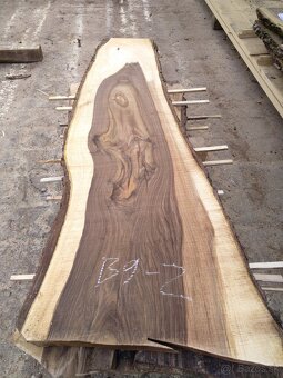 Predám vysušené orechové fošne - 8 cm hrubé - 6