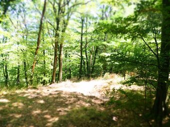 NA PREDAJ: Pozemok (rekreačný) 1000m2, ulica Stará Stupavská - 6