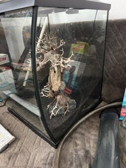 Invital akváriou 40 l - 6