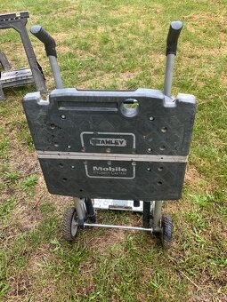 Stanley - 6