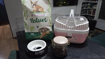 zakrslý králik - 6