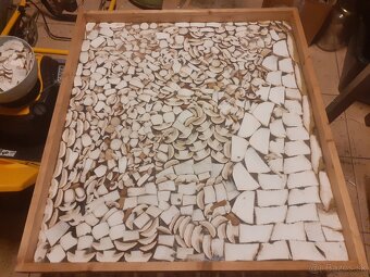 Predám sušené dubaky - 6