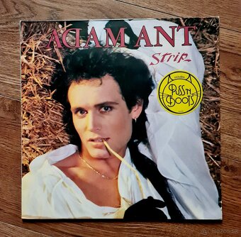 Vinylové platne 5€ za kus - 6