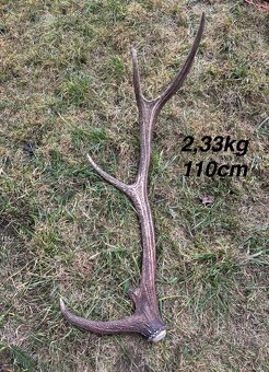 Parohy,parožie,zhody - 6