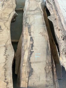 Nadrozmerné dubové fošne, vysušené dubové rezivo, 8 cm - 6