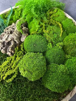 Predám nový machový obraz vhodný ako aj darček - 6