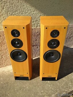 Reproduktory T+A Criterion TMR80, Transmissionline - 6