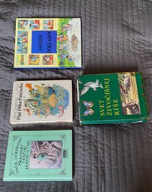 staré detské knihy - 6