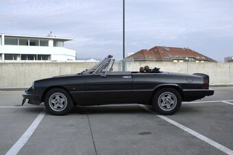 Alfa Romeo Spider 1984 93kw - 6
