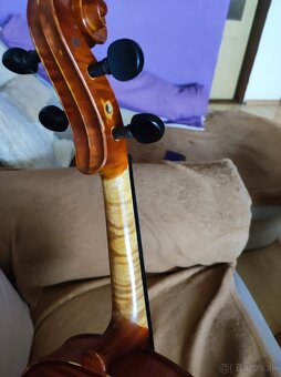 Viola 40.5 - 6