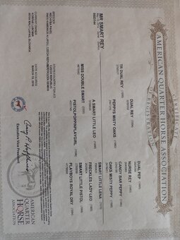 AQH - 6