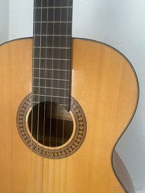 Gitara Martinez - 6