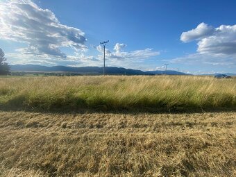 Pozemok Veľký Čepčín 6503m2 - 6