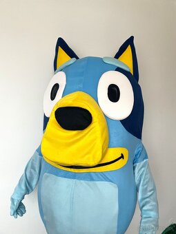 Maskot/kostým pes Bluey - 6